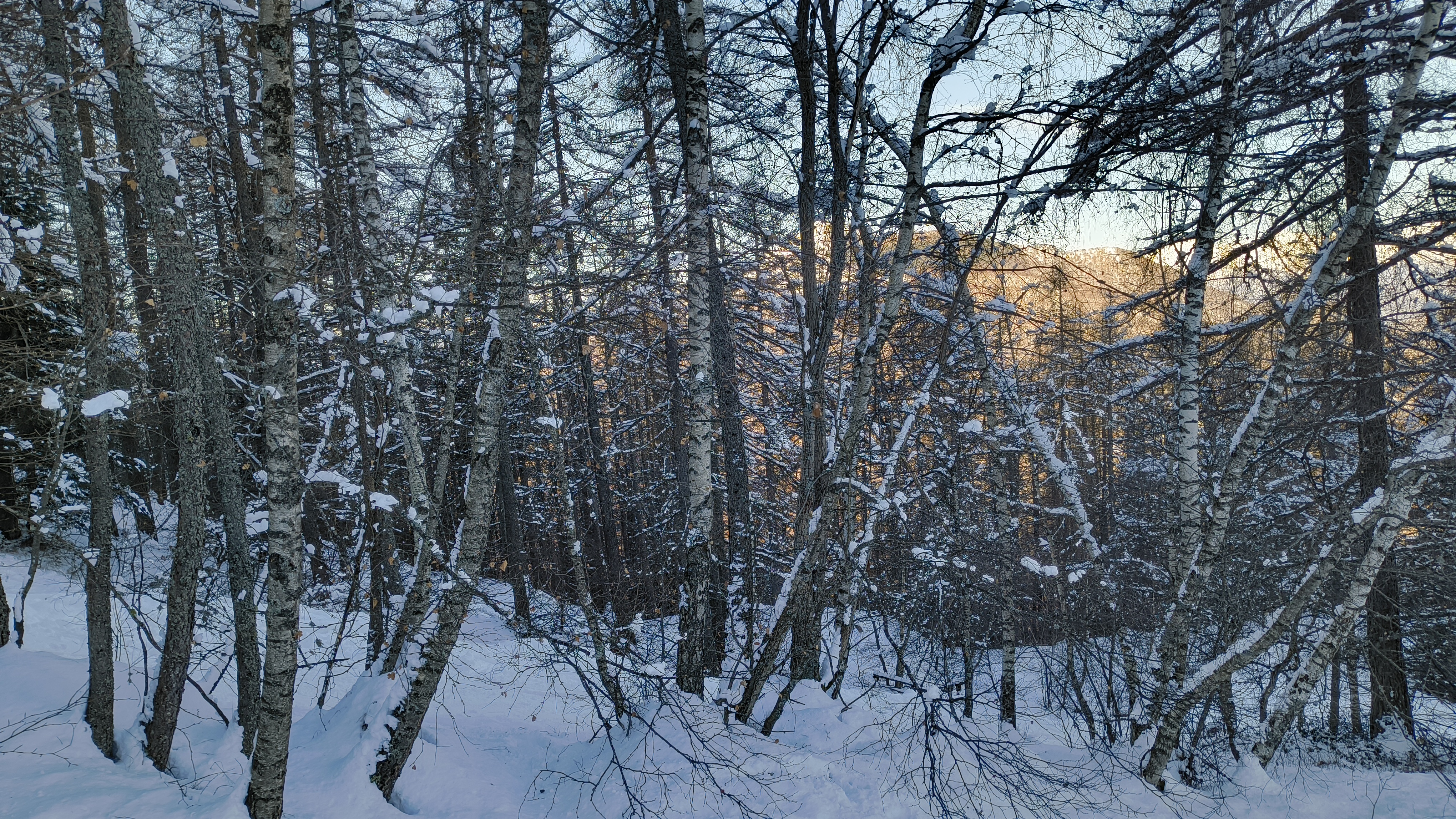 Foto n° 2 del trekking Cimone di Margno